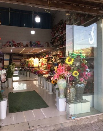 50bd141b-5070-4893-8699-98751fe6f976