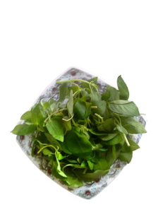 سبزی ریحون تازه 
