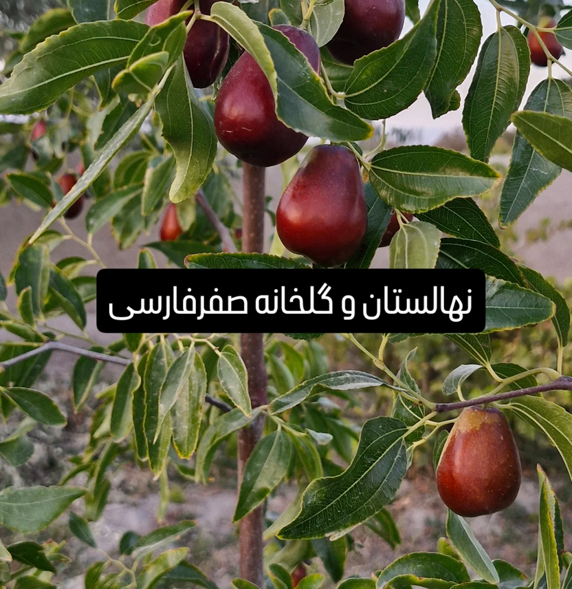 Screenshot 2025-05-15 112922