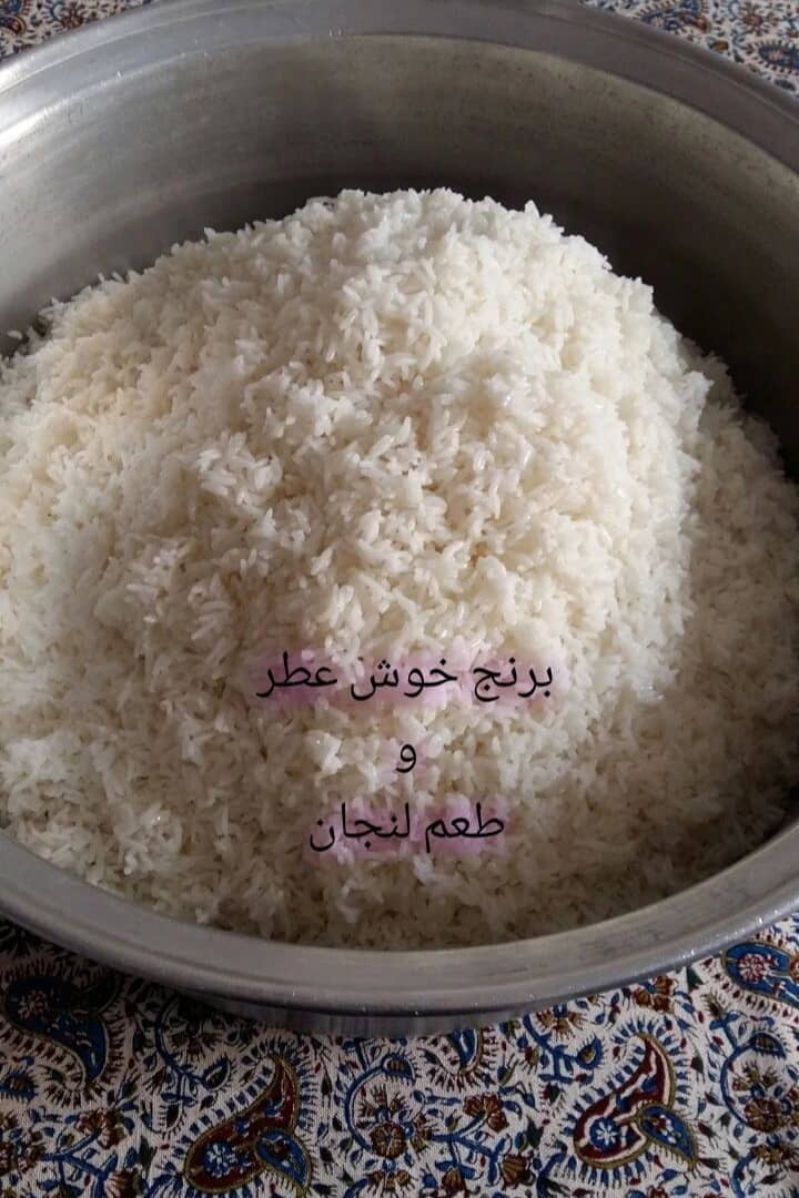 WhatsApp Image 2025-05-10 at 11.07.51 AM (1)